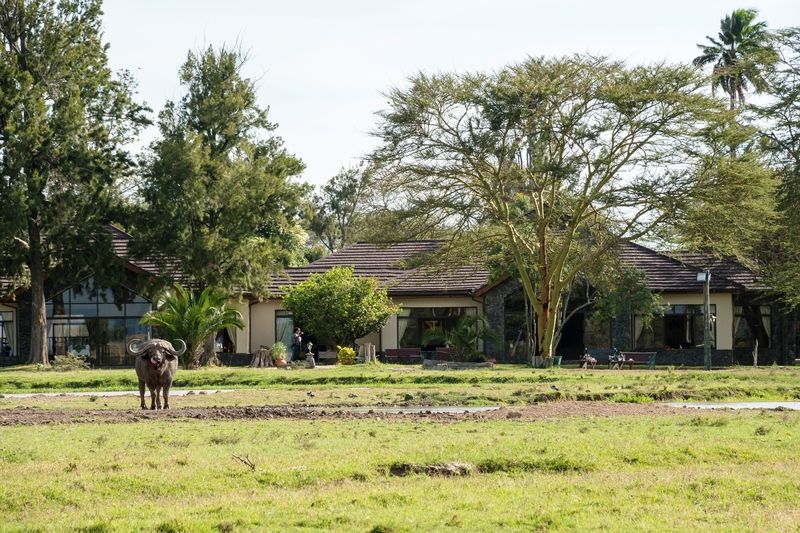 甜水塞雷纳营地山林小屋 纳纽基 外观 照片