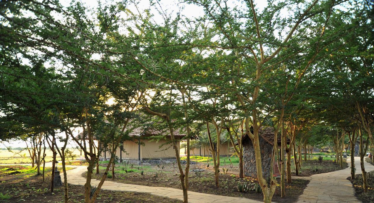 甜水塞雷纳营地山林小屋 纳纽基 外观 照片